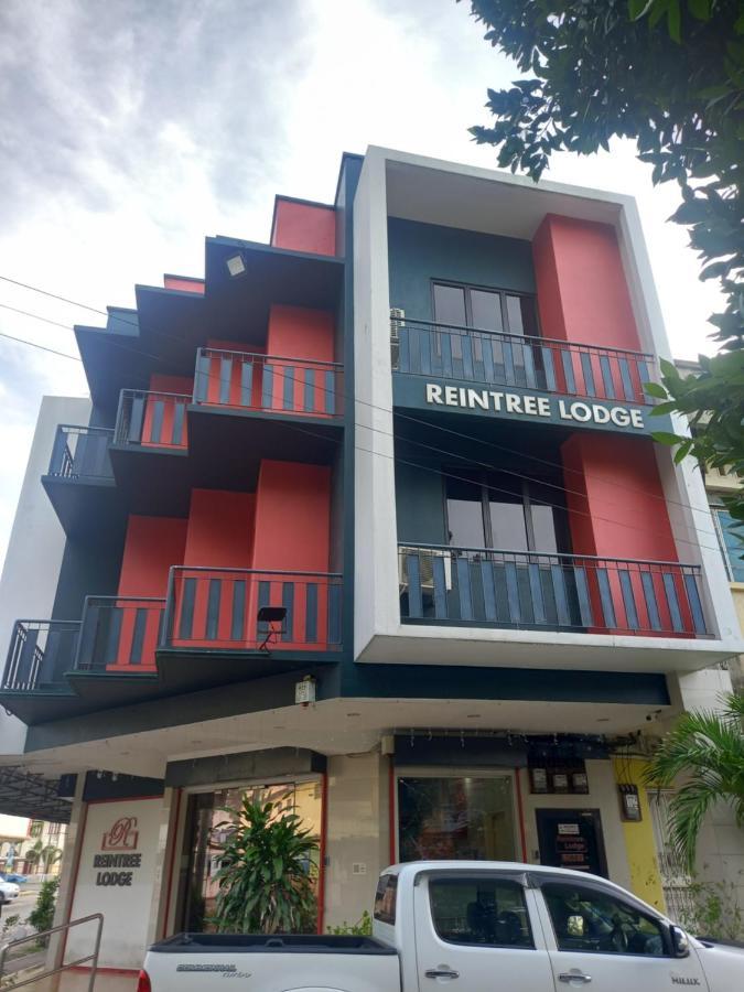 Reintree